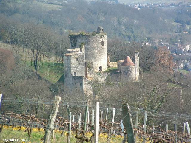 Château Langoiran - Forteresse médiévale    Cliquez sur l'image pour voir d'autres paysages de l'Entre-deux-Mers